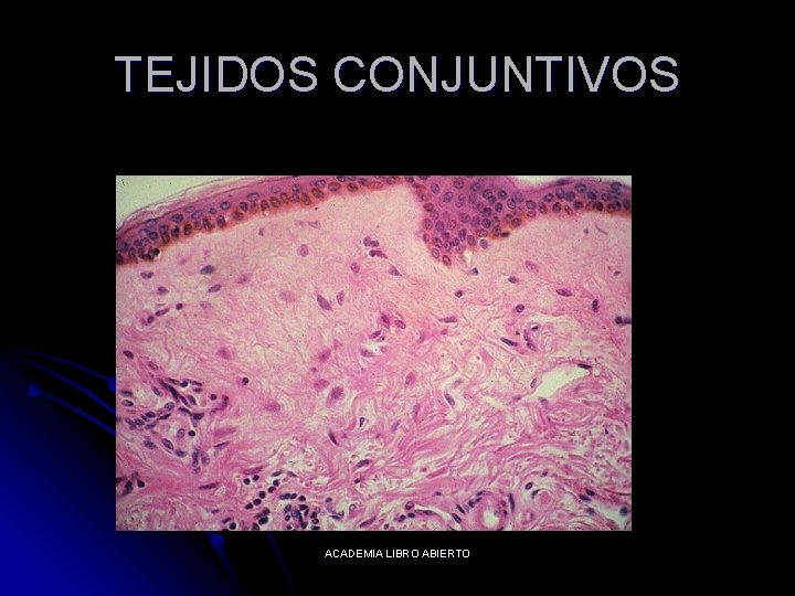 TEJIDOS CONJUNTIVOS ACADEMIA LIBRO ABIERTO 