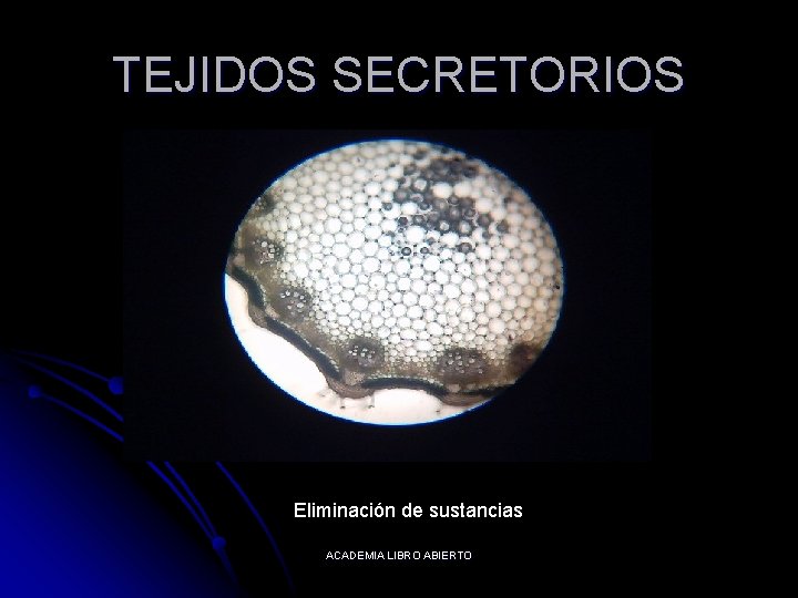 TEJIDOS SECRETORIOS Eliminación de sustancias ACADEMIA LIBRO ABIERTO 