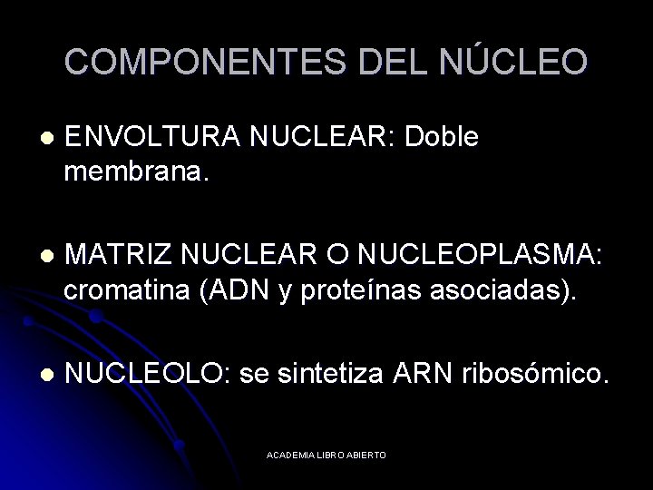 COMPONENTES DEL NÚCLEO l ENVOLTURA NUCLEAR: Doble membrana. l MATRIZ NUCLEAR O NUCLEOPLASMA: cromatina