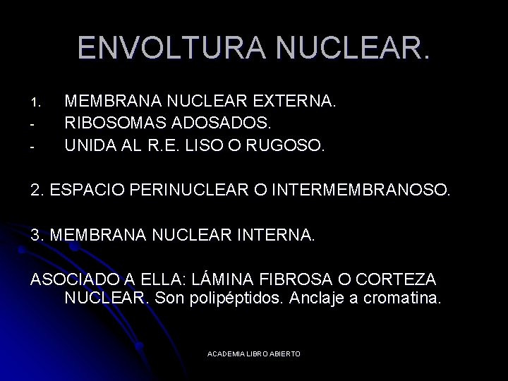 ENVOLTURA NUCLEAR. 1. - MEMBRANA NUCLEAR EXTERNA. RIBOSOMAS ADOS. UNIDA AL R. E. LISO
