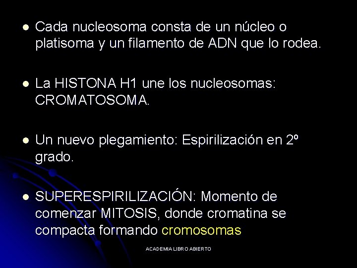 l Cada nucleosoma consta de un núcleo o platisoma y un filamento de ADN