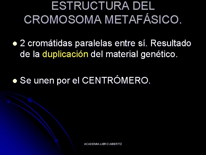 ESTRUCTURA DEL CROMOSOMA METAFÁSICO. l 2 cromátidas paralelas entre sí. Resultado de la duplicación