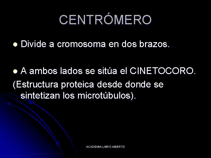 CENTRÓMERO l Divide a cromosoma en dos brazos. A ambos lados se sitúa el