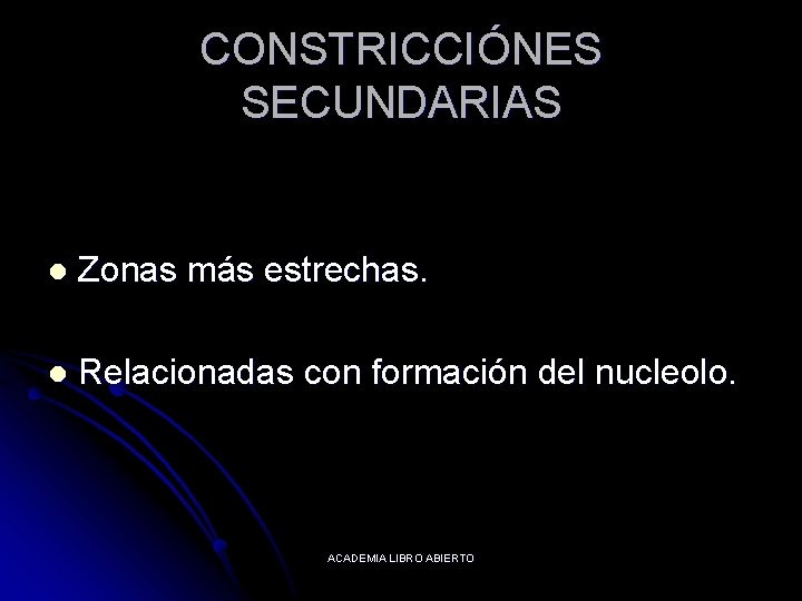CONSTRICCIÓNES SECUNDARIAS l Zonas más estrechas. l Relacionadas con formación del nucleolo. ACADEMIA LIBRO
