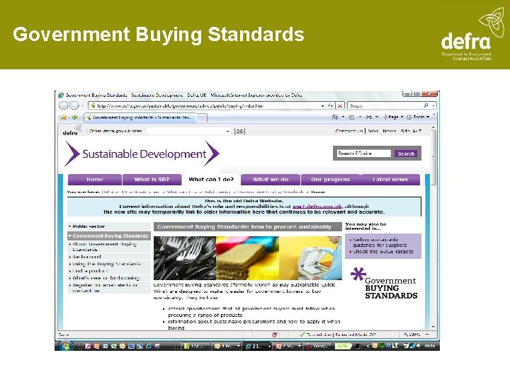 Government Buying Standards 