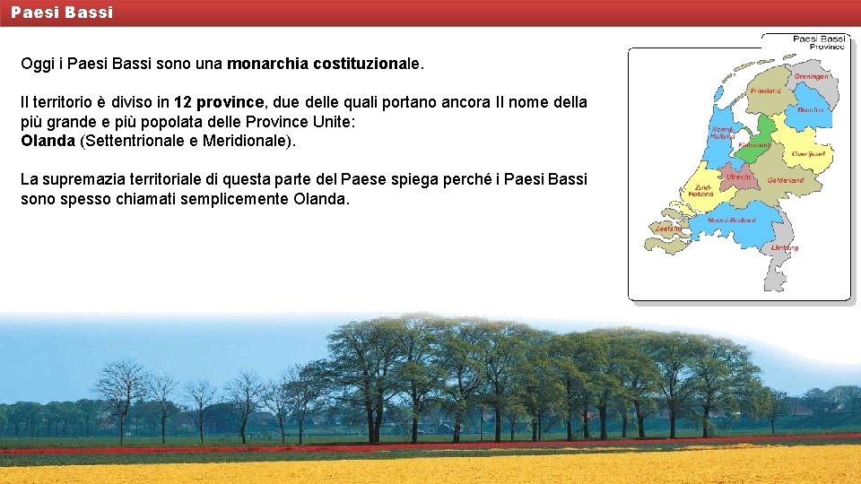 Paesi Bassi Oggi i Paesi Bassi sono una monarchia costituzionale. Il territorio è diviso