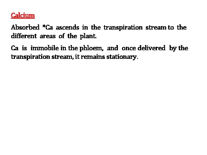 Calcium Absorbed *Ca ascends in the transpiration stream to the different areas of the