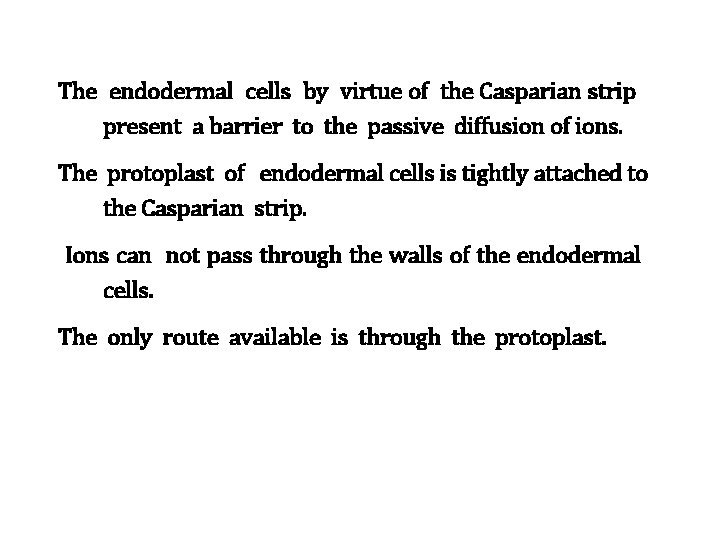 The endodermal cells by virtue of the Casparian strip present a barrier to the