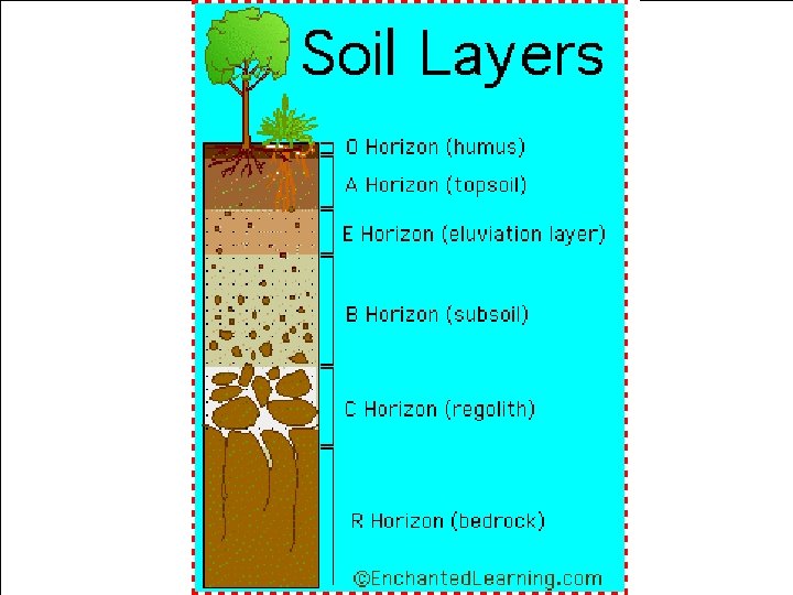 Photo of soil profile 