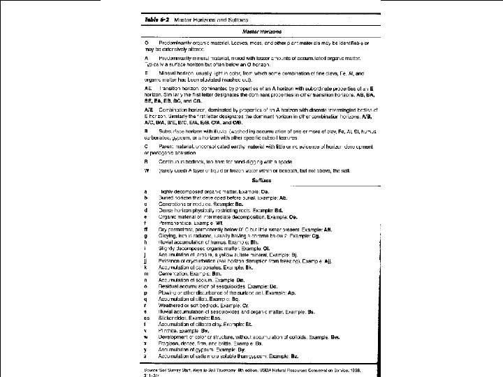 Photo of soil profile 
