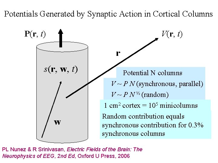 Potentials Generated by Synaptic Action in Cortical Columns P(r, t) V(r, t) r s(r,