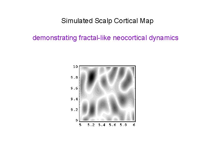 Simulated Scalp Cortical Map demonstrating fractal-like neocortical dynamics 