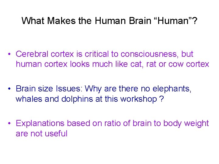 What Makes the Human Brain “Human”? • Cerebral cortex is critical to consciousness, but