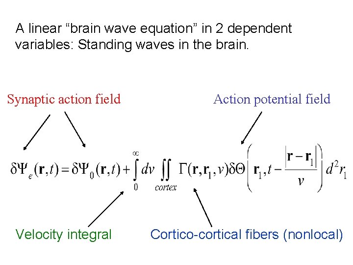 A linear “brain wave equation” in 2 dependent variables: Standing waves in the brain.