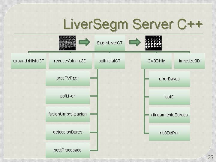 Liver. Segm Server C++ Segm. Liver. CT expandir. Histo. CT reduce. Volume 3 D