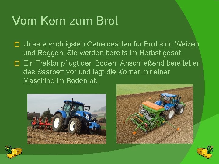 Vom Korn zum Brot Unsere wichtigsten Getreidearten für Brot sind Weizen und Roggen. Sie