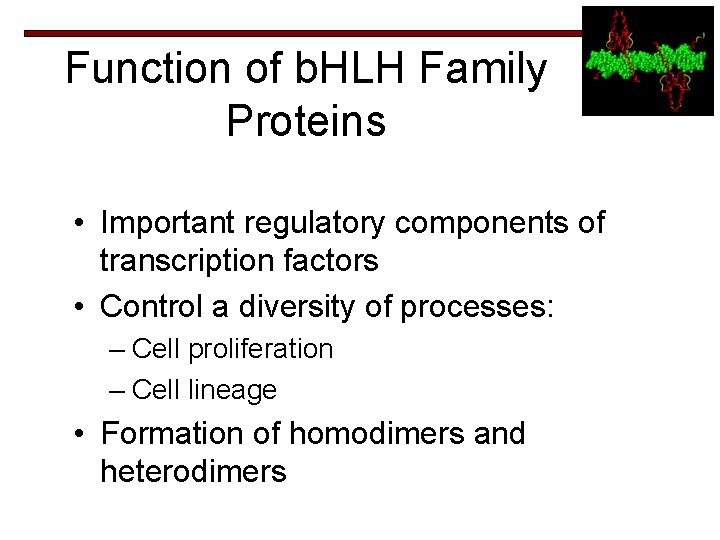 Function of b. HLH Family Proteins • Important regulatory components of transcription factors •