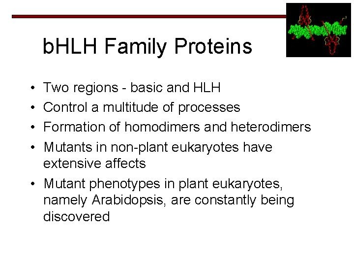 b. HLH Family Proteins • • Two regions - basic and HLH Control a