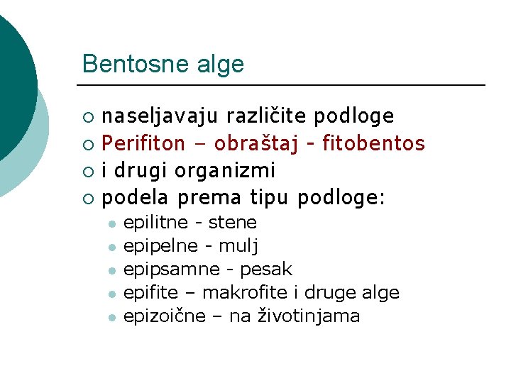 Bentosne alge naseljavaju različite podloge ¡ Perifiton – obraštaj - fitobentos ¡ i drugi