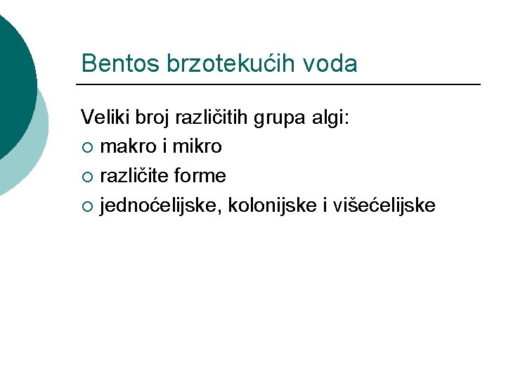 Bentos brzotekućih voda Veliki broj različitih grupa algi: ¡ makro i mikro ¡ različite