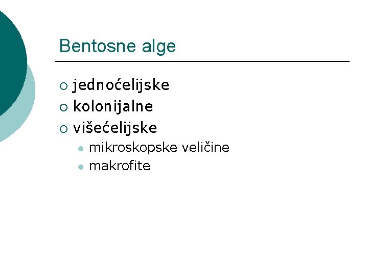 Bentosne alge jednoćelijske ¡ kolonijalne ¡ višećelijske ¡ l l mikroskopske veličine makrofite Bentosne alge jednoćelijske ¡ kolonijalne ¡ višećelijske ¡ l l mikroskopske veličine makrofite