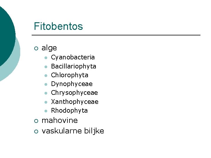 Fitobentos ¡ alge l l l l ¡ ¡ Cyanobacteria Bacillariophyta Chlorophyta Dynophyceae Chrysophyceae