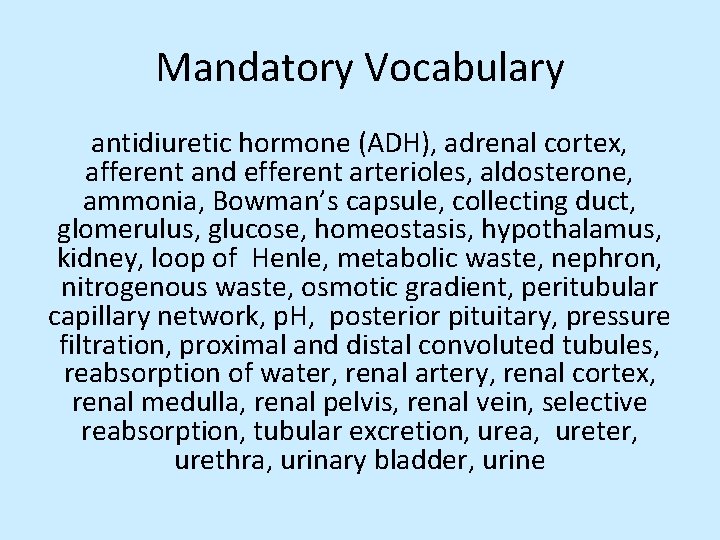 Mandatory Vocabulary antidiuretic hormone (ADH), adrenal cortex, afferent and efferent arterioles, aldosterone, ammonia, Bowman’s