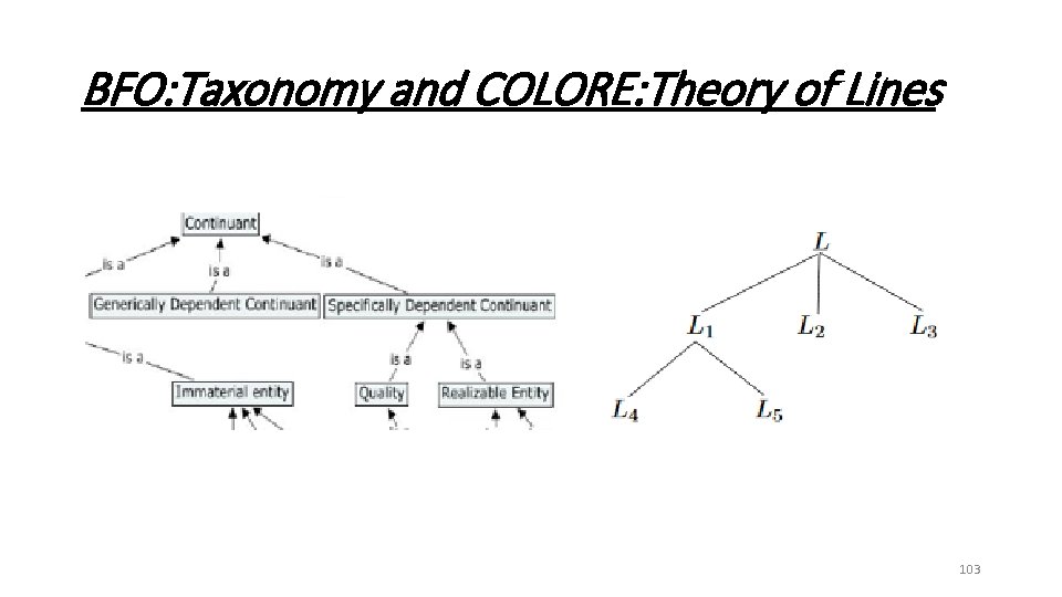 BFO: Taxonomy and COLORE: Theory of Lines 103 