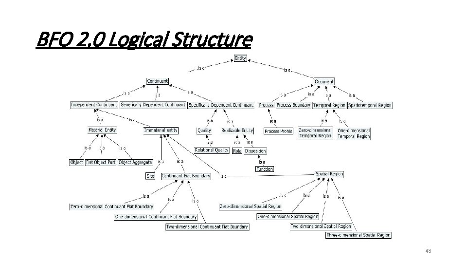 BFO 2. 0 Logical Structure 48 