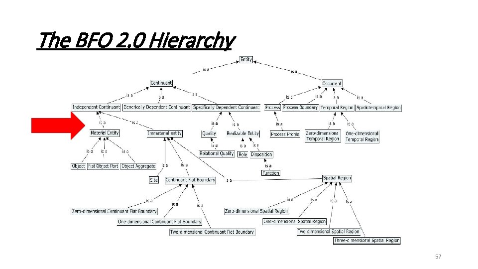 The BFO 2. 0 Hierarchy 57 