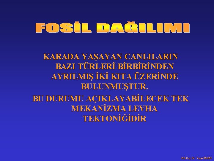 KARADA YAŞAYAN CANLILARIN BAZI TÜRLERİ BİRBİRİNDEN AYRILMIŞ İKİ KITA ÜZERİNDE BULUNMUŞTUR. BU DURUMU AÇIKLAYABİLECEK