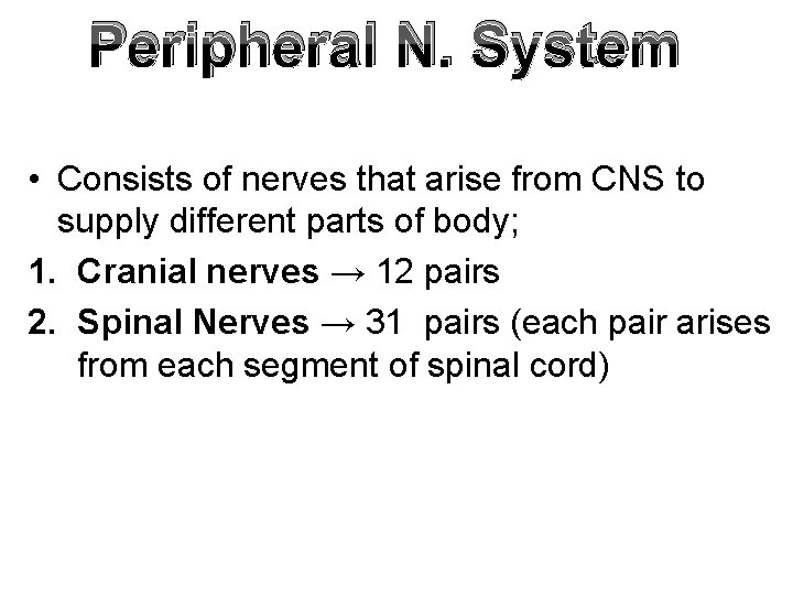 Peripheral N. System • Consists of nerves that arise from CNS to supply different