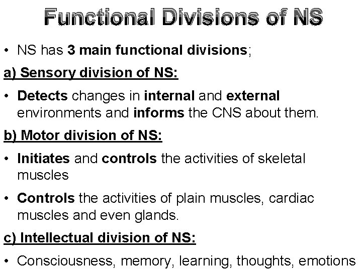 Functional Divisions of NS • NS has 3 main functional divisions; a) Sensory division