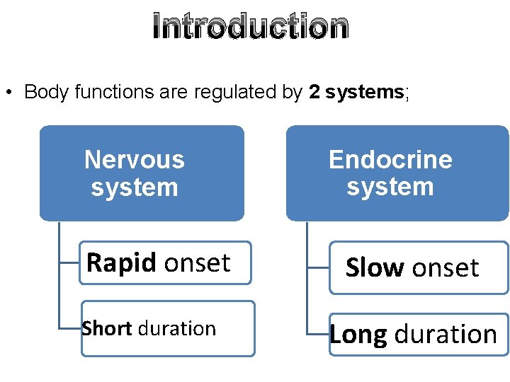 Introduction • Body functions are regulated by 2 systems; Nervous system Rapid onset Short