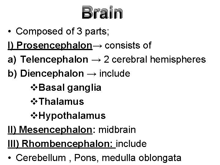 Brain • Composed of 3 parts; I) Prosencephalon→ consists of a) Telencephalon → 2