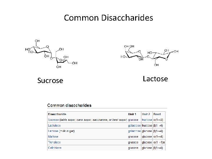 Common Disaccharides Sucrose Lactose 