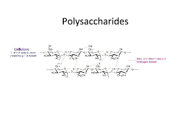 Polysaccharides 