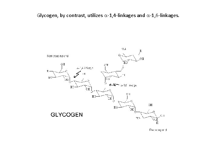 Glycogen, by contrast, utilizes a-1, 4 -linkages and a-1, 6 -linkages. 