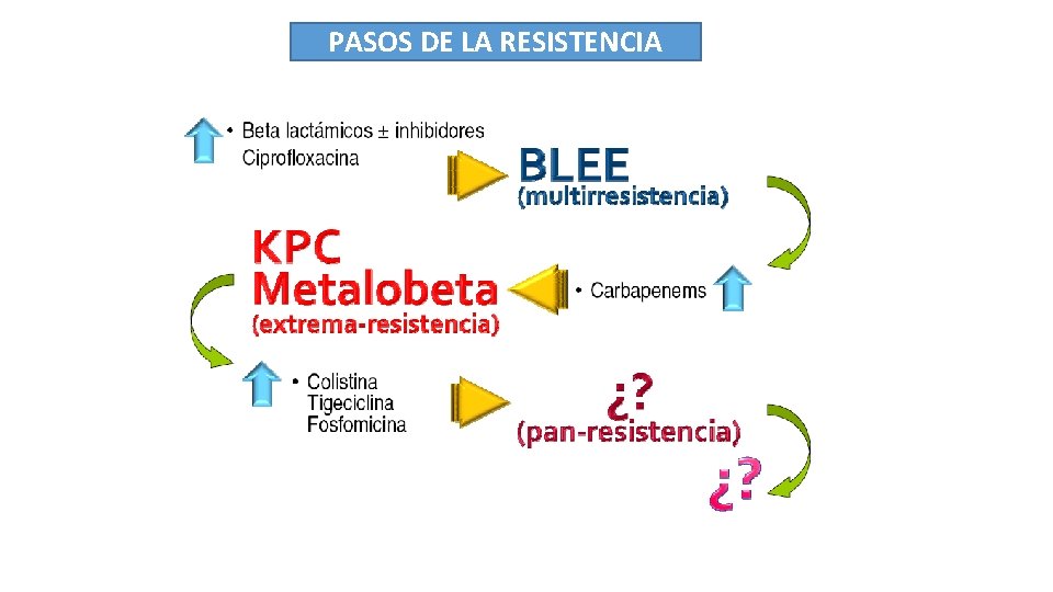 PASOS DE LA RESISTENCIA 