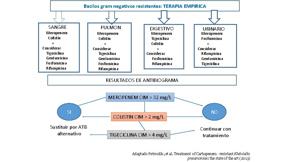 Bacilos gram negativos resistentes: TERAPIA EMPIRICA SANGRE Meropenem Colistin + Considerar Tigeciclina Gentamicina Fosfomicina