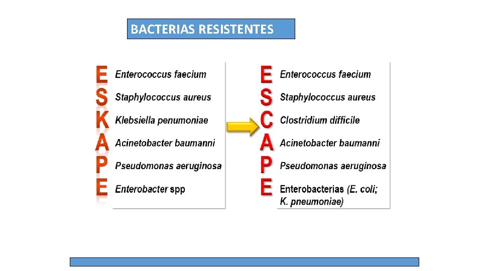 BACTERIAS RESISTENTES 