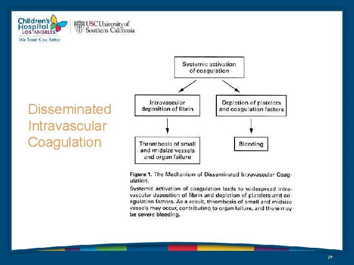 Disseminated Intravascular Coagulation 29 