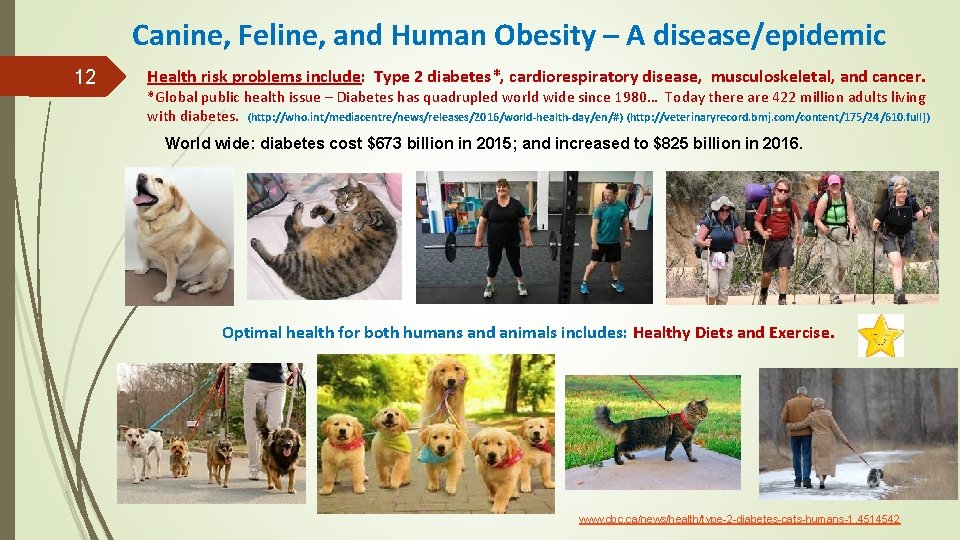 Canine, Feline, and Human Obesity – A disease/epidemic 12 Health risk problems include: Type