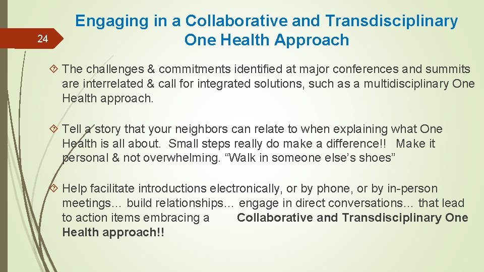 24 Engaging in a Collaborative and Transdisciplinary One Health Approach The challenges & commitments