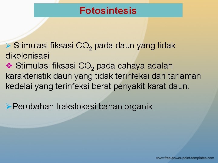 Fotosintesis Ø Stimulasi fiksasi CO 2 pada daun yang tidak dikolonisasi v Stimulasi fiksasi