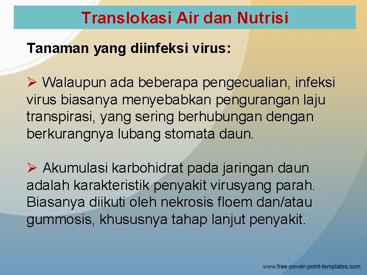 Translokasi Air dan Nutrisi Tanaman yang diinfeksi virus: Ø Walaupun ada beberapa pengecualian, infeksi