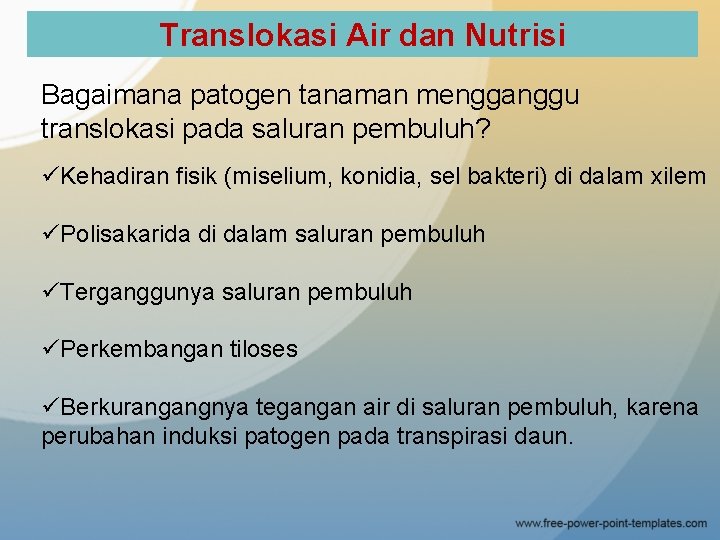 Translokasi Air dan Nutrisi Bagaimana patogen tanaman mengganggu translokasi pada saluran pembuluh? üKehadiran fisik