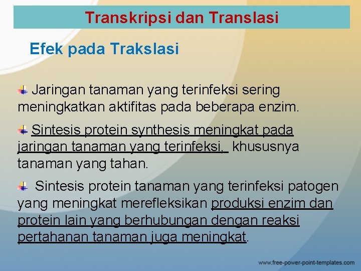 Transkripsi dan Translasi Efek pada Trakslasi Jaringan tanaman yang terinfeksi sering meningkatkan aktifitas pada