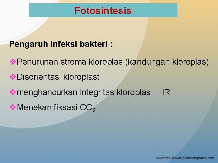 Fotosintesis Pengaruh infeksi bakteri : v. Penurunan stroma kloroplas (kandungan kloroplas) v. Disorientasi kloroplast