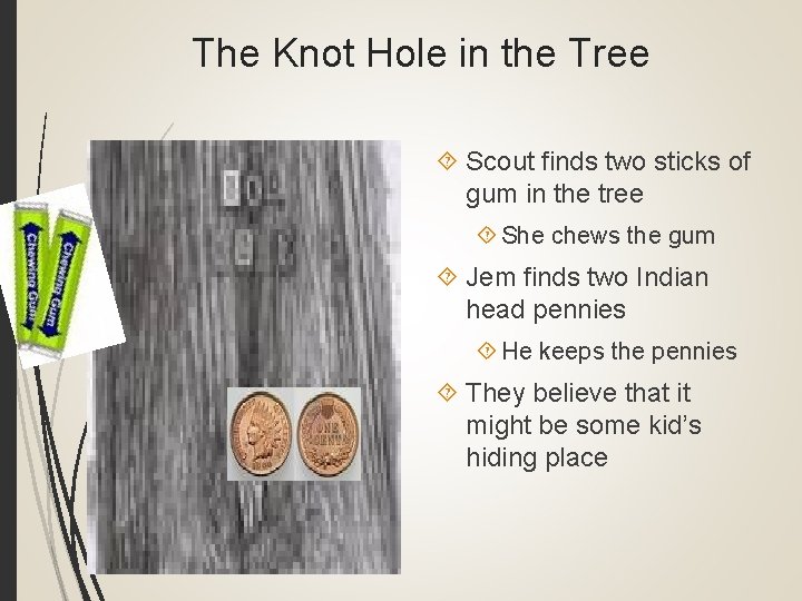 The Knot Hole in the Tree Scout finds two sticks of gum in the